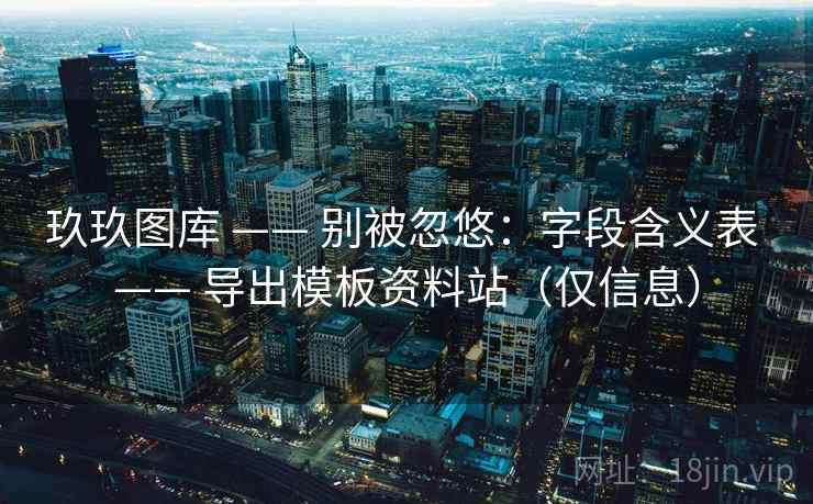玖玖图库 —— 别被忽悠：字段含义表 导出模板资料站（仅信息）  第1张